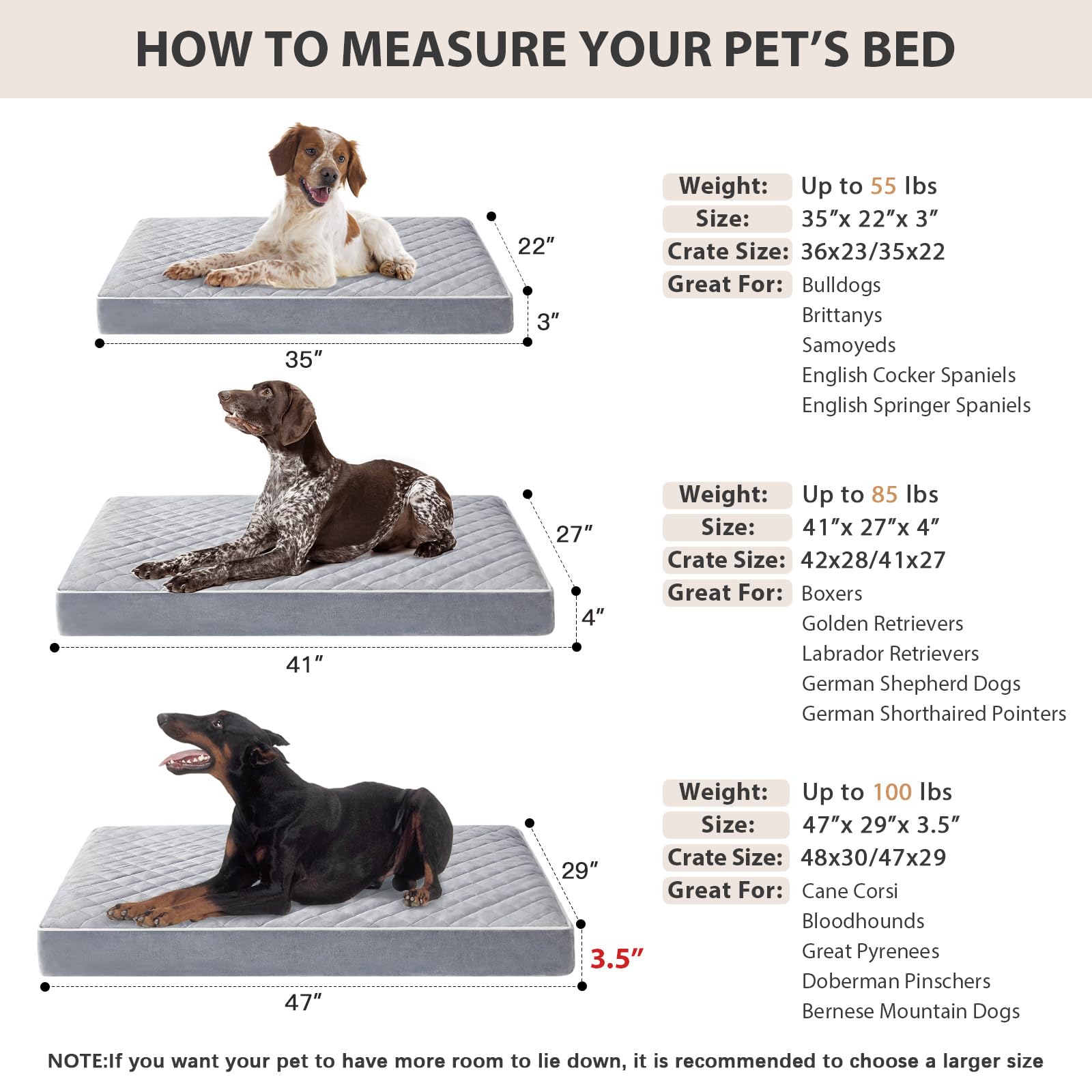 WNPETHOME perro grande descansando en la cama mostrando soporte
