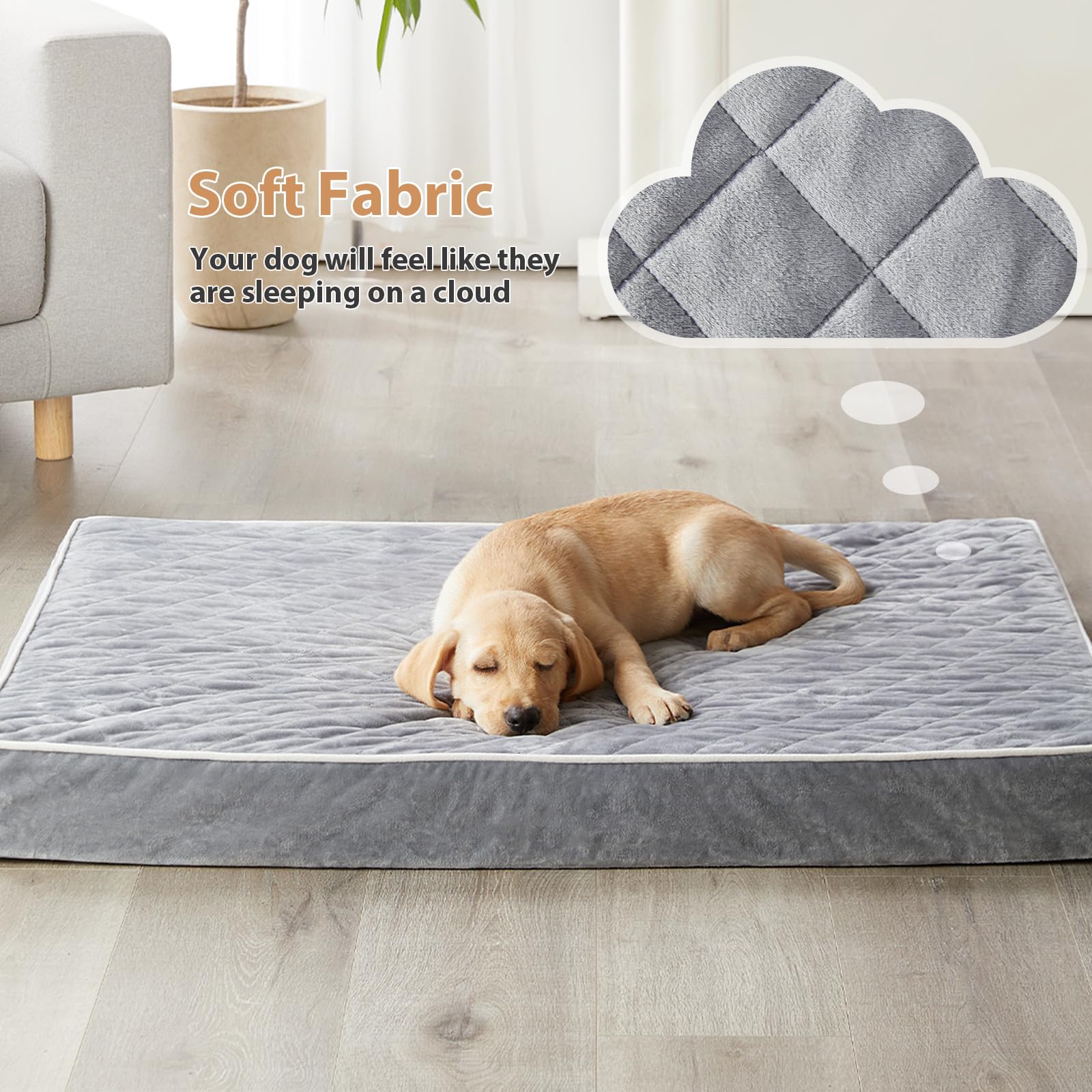 WNPETHOME primer plano terciopelo suave que aporta calor y confort