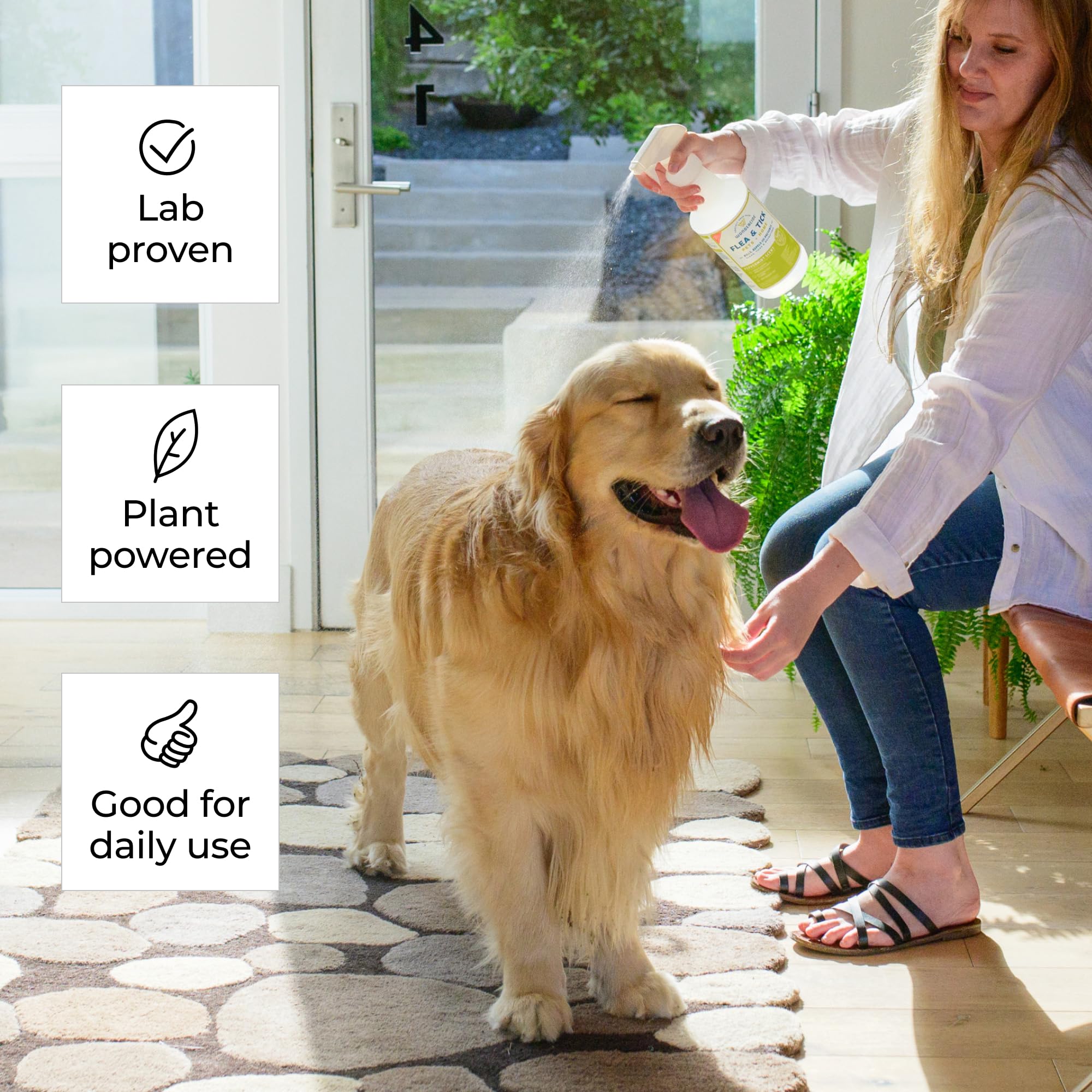 Wondercide aplicado en perro para control de pulgas y garrapatas