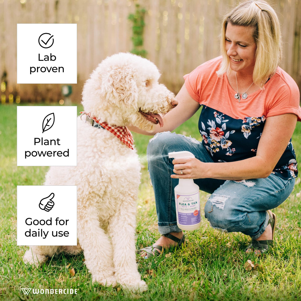 Wondercide spray en perro demostrando protección natural contra pulgas y garrapatas