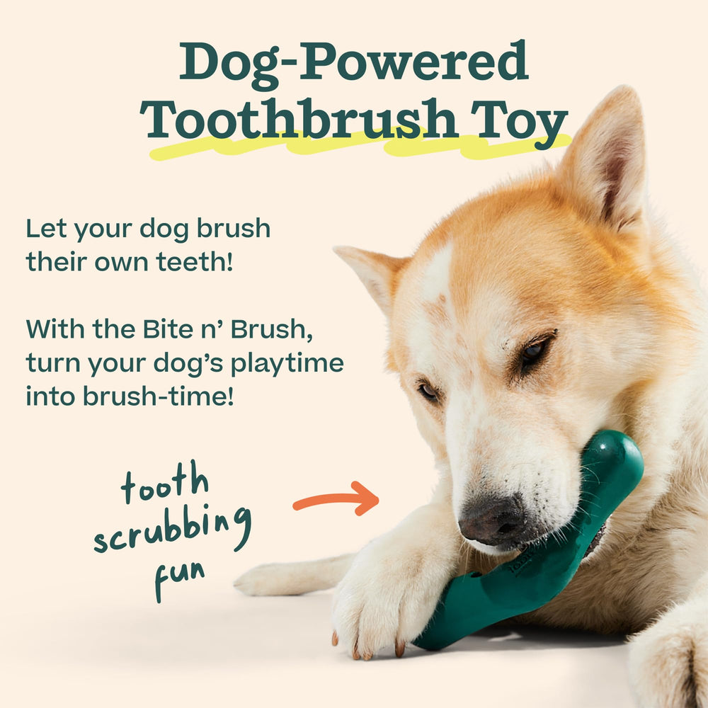 WOOF perro masticando el Bite n' Brush en parque, entretenimiento prolongado