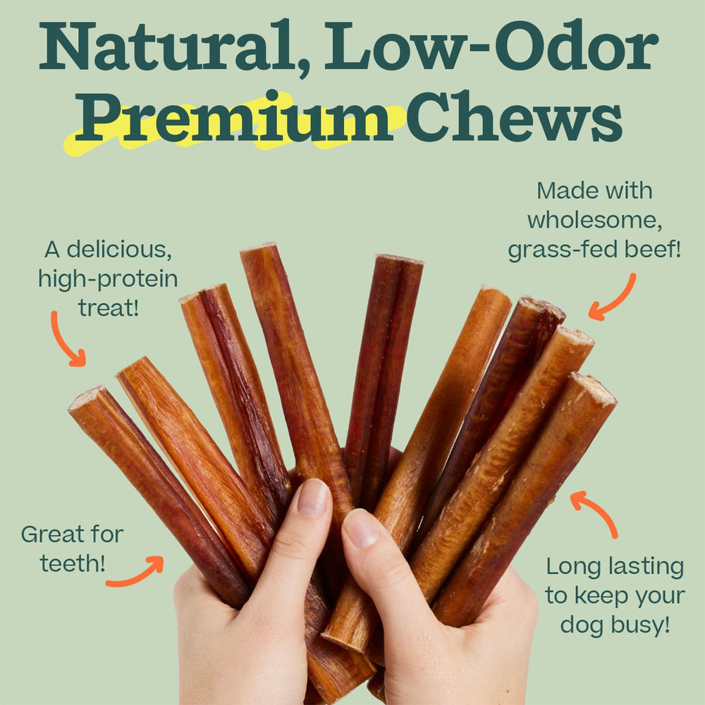 Cinco WOOF bully sticks alineados para comparar tamaño y uniformidad