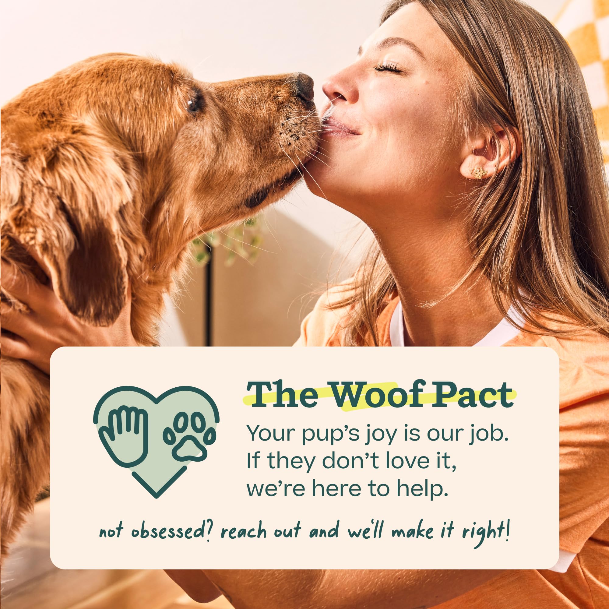 Bully stick WOOF en ambiente hogareño, ideal para momentos de calma
