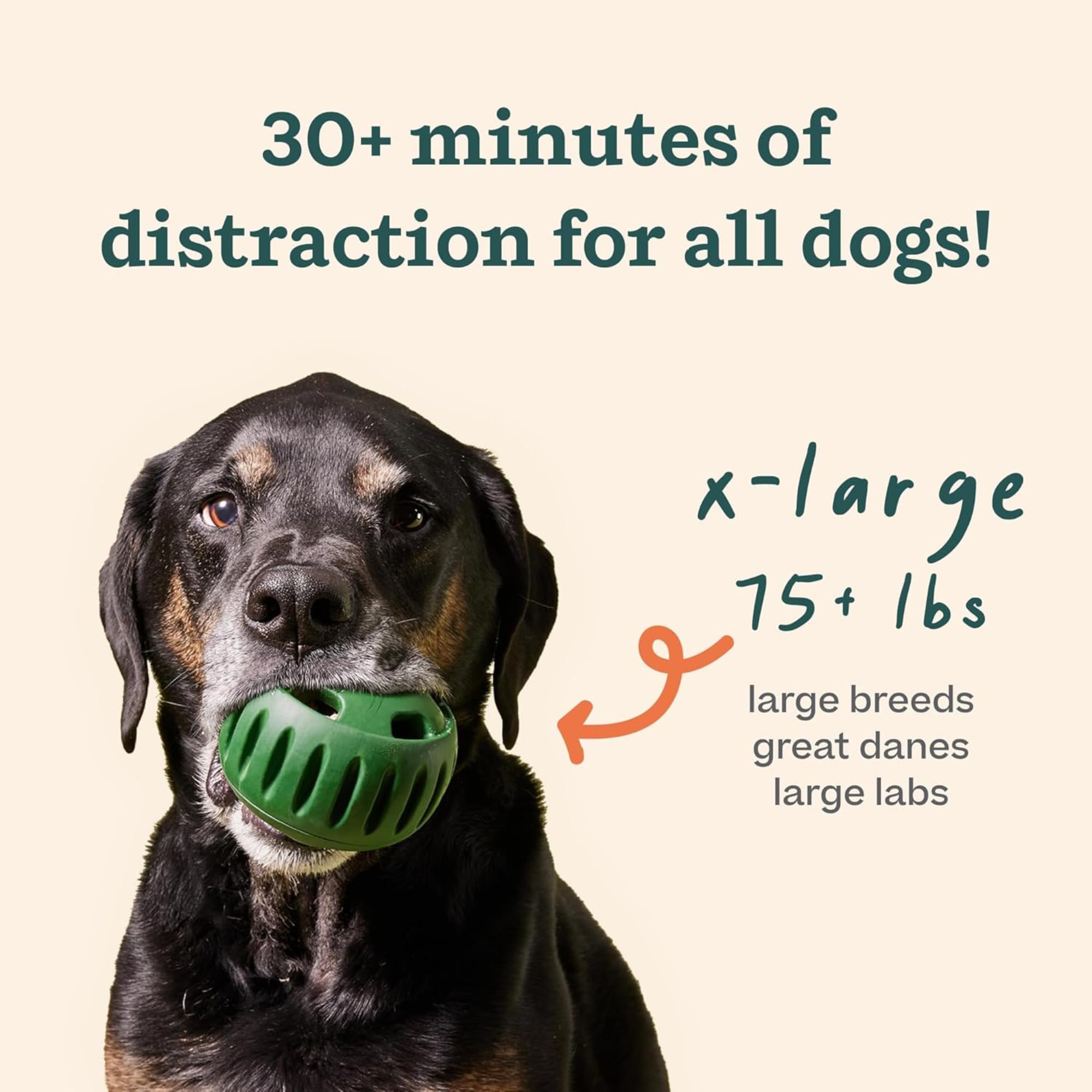 detail of WOOF Pupsicle label and assembly instructions for safe use