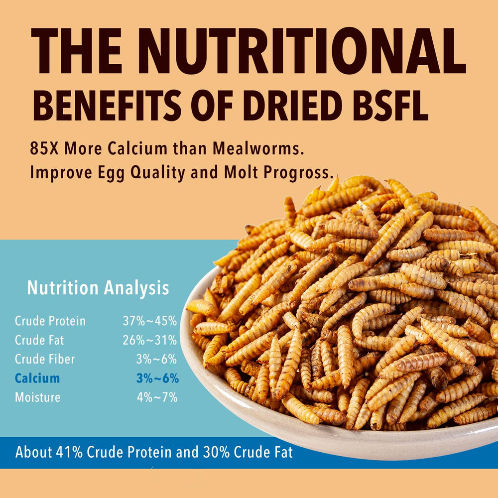 WormsFarm larvae scattered for chickens, showing high acceptance benefit