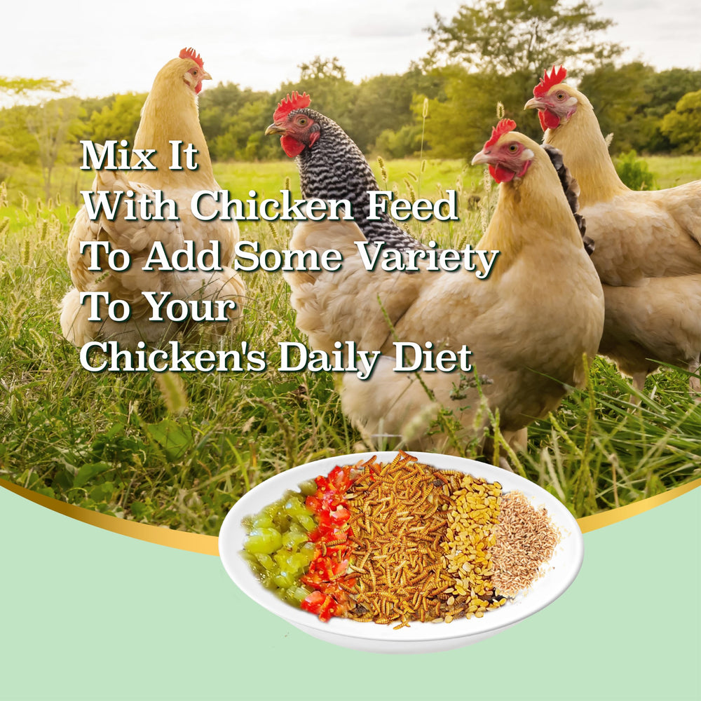 WORMSKING etiqueta con datos nutricionales destacando proteína y calcio para dietas animales