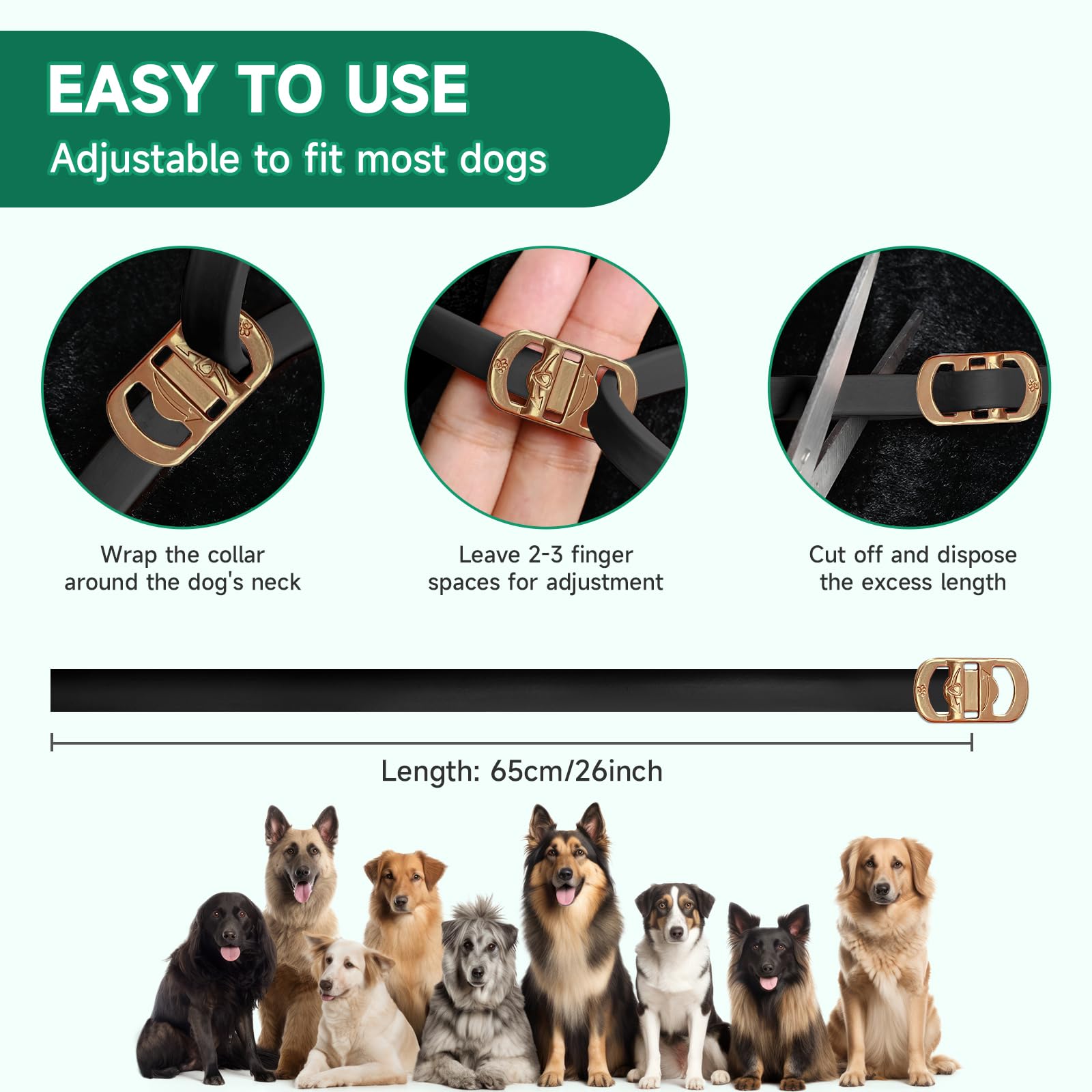 Woyamay comparación de tamaño del collar junto a regla para ajustar correctamente