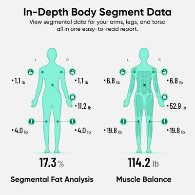 Wyze Scale PDF report printout illustrating detailed segmental data