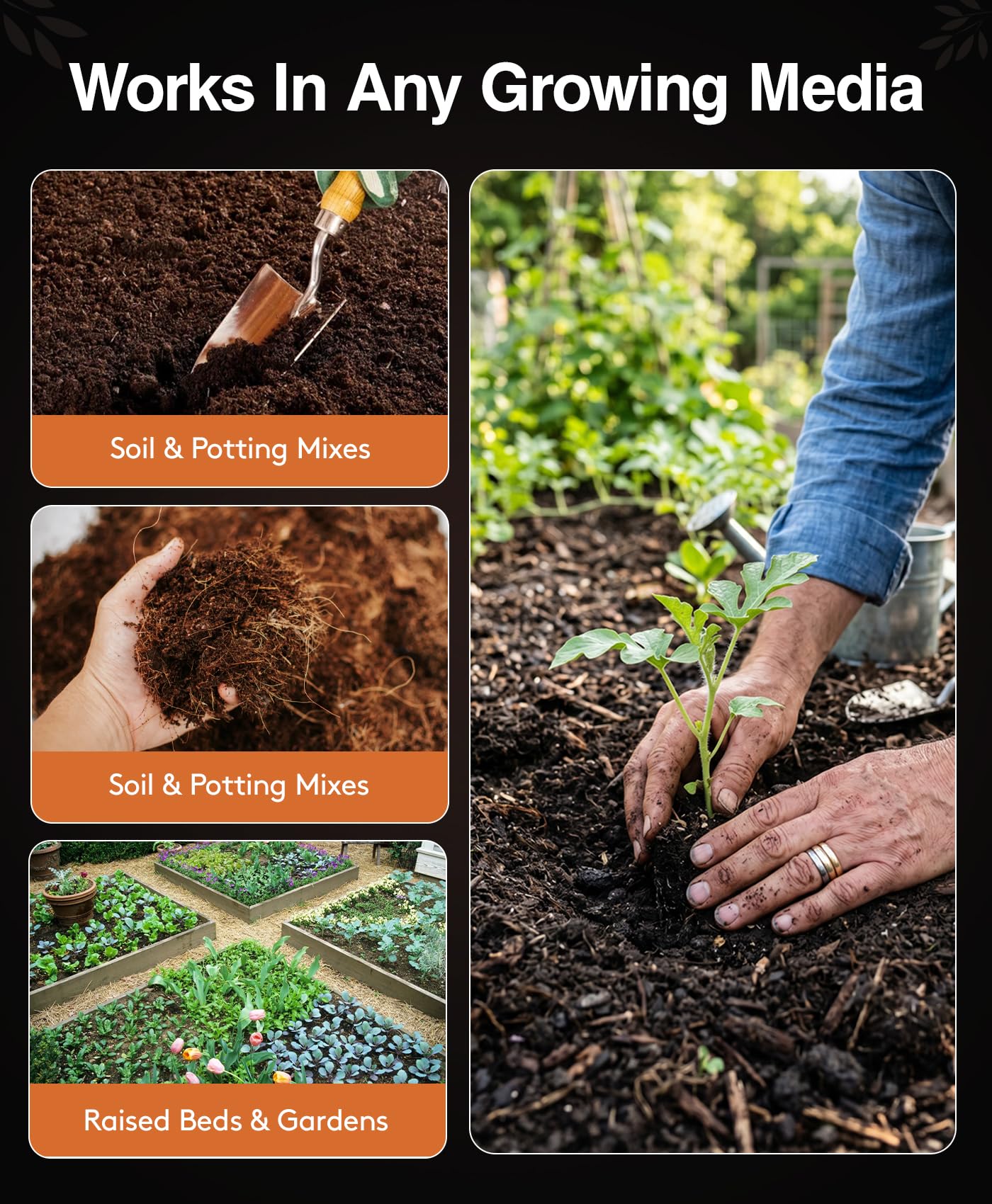 Garden scene with Xtreme Gardening Mykos used at transplant time to support growth