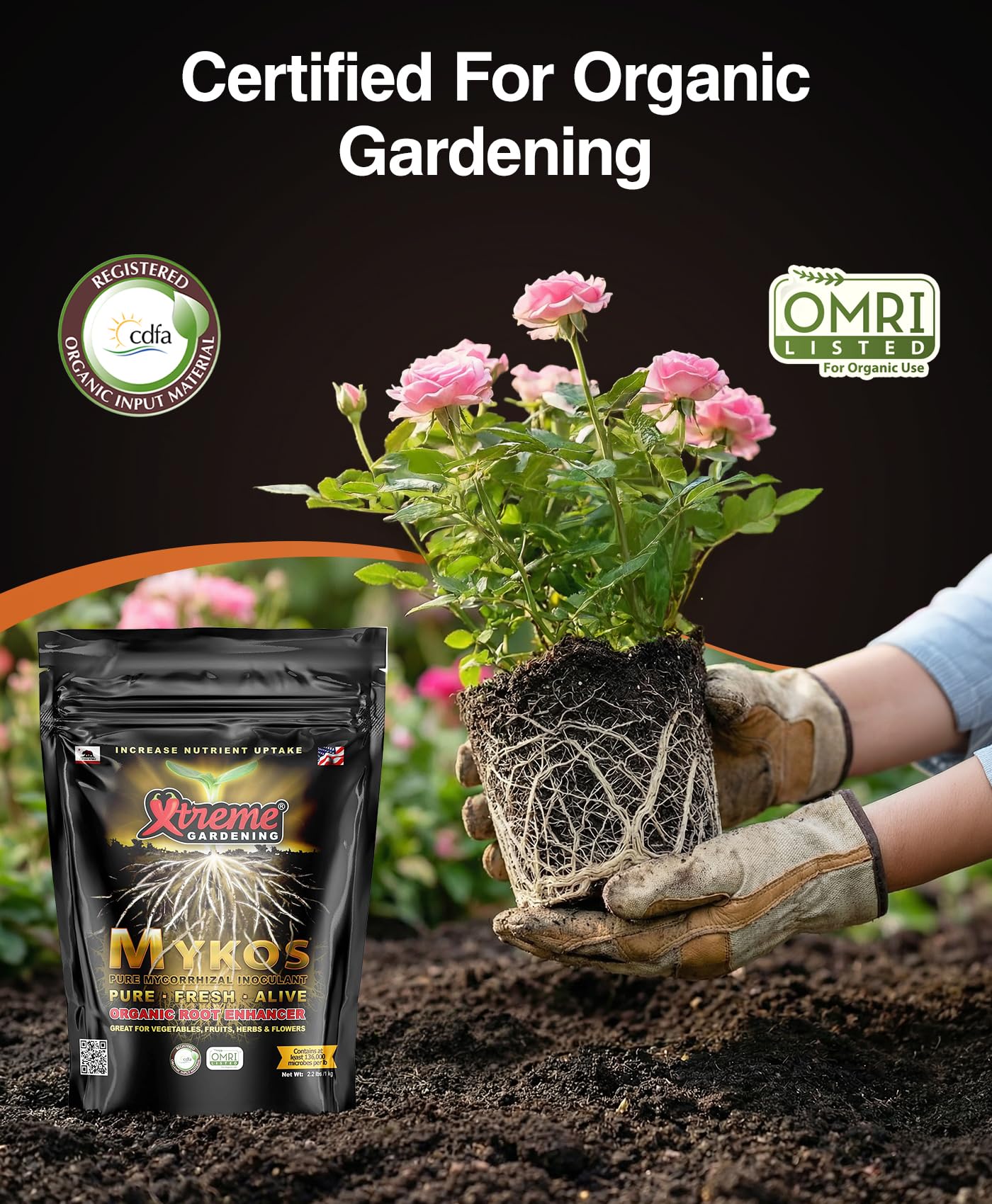 Granules placed against plant roots demonstrating Xtreme Gardening root contact benefit