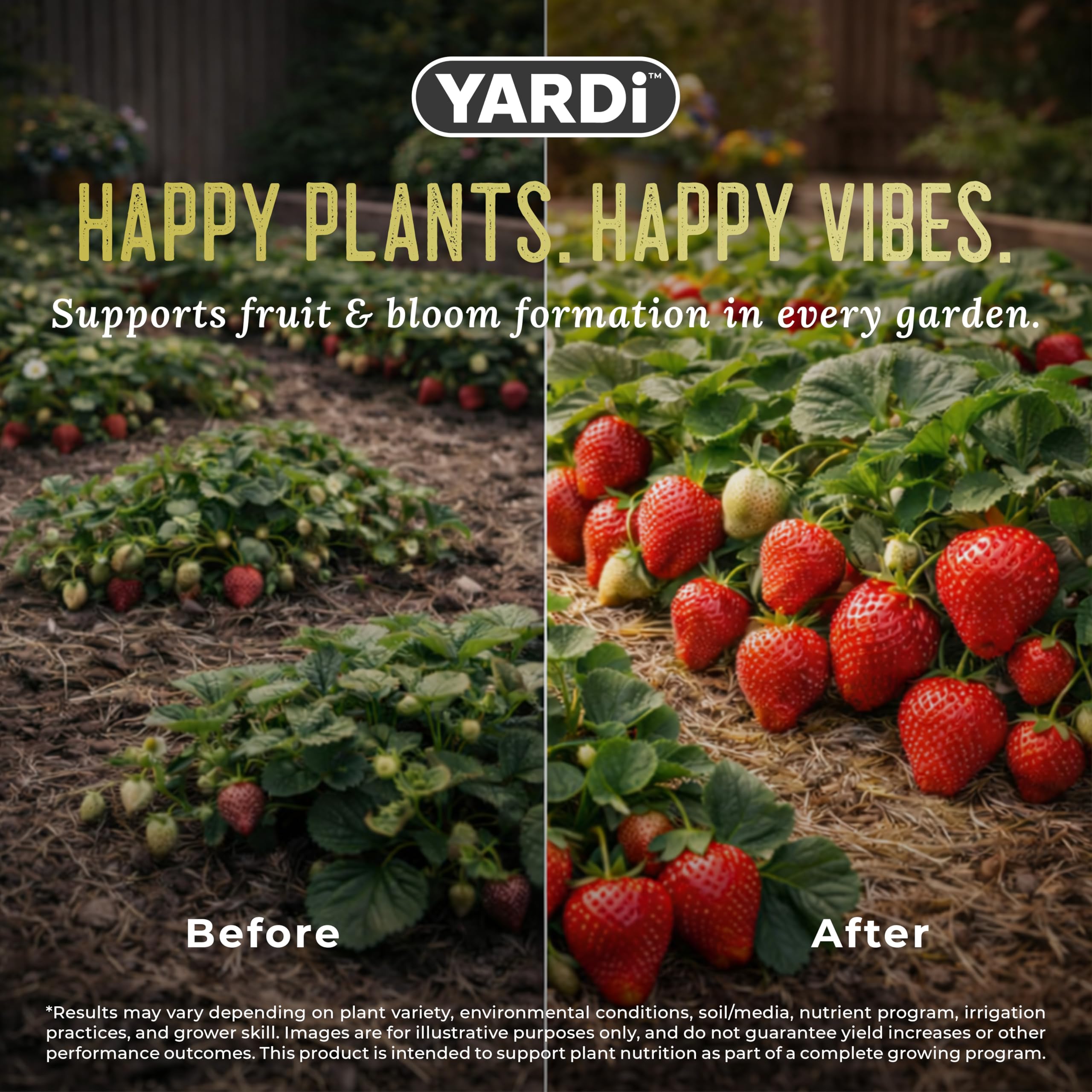 YARDi soil drench at root zone promoting stronger fruit set