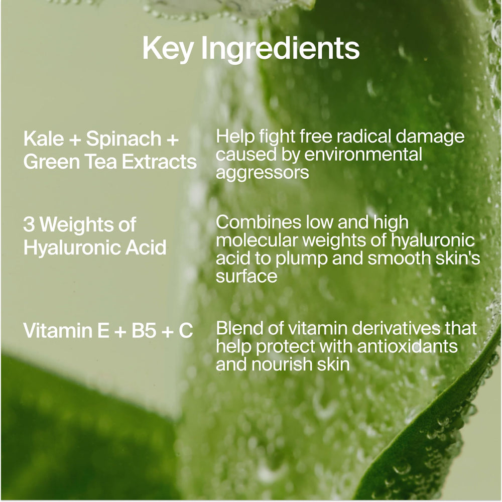 Youth To The People green tea extract close-up offering antioxidant skin-support benefit