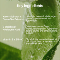 Youth To The People green tea extract close-up offering antioxidant skin-support benefit