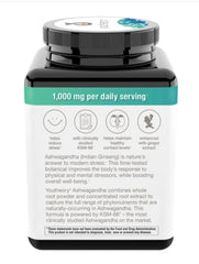 Youtheory polvo de ashwagandha en primer plano destacando extracto KSM-66