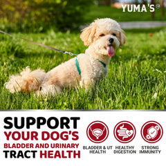 YUMA'S comparación de tamaño del masticable junto a una mano para escala y dosificación