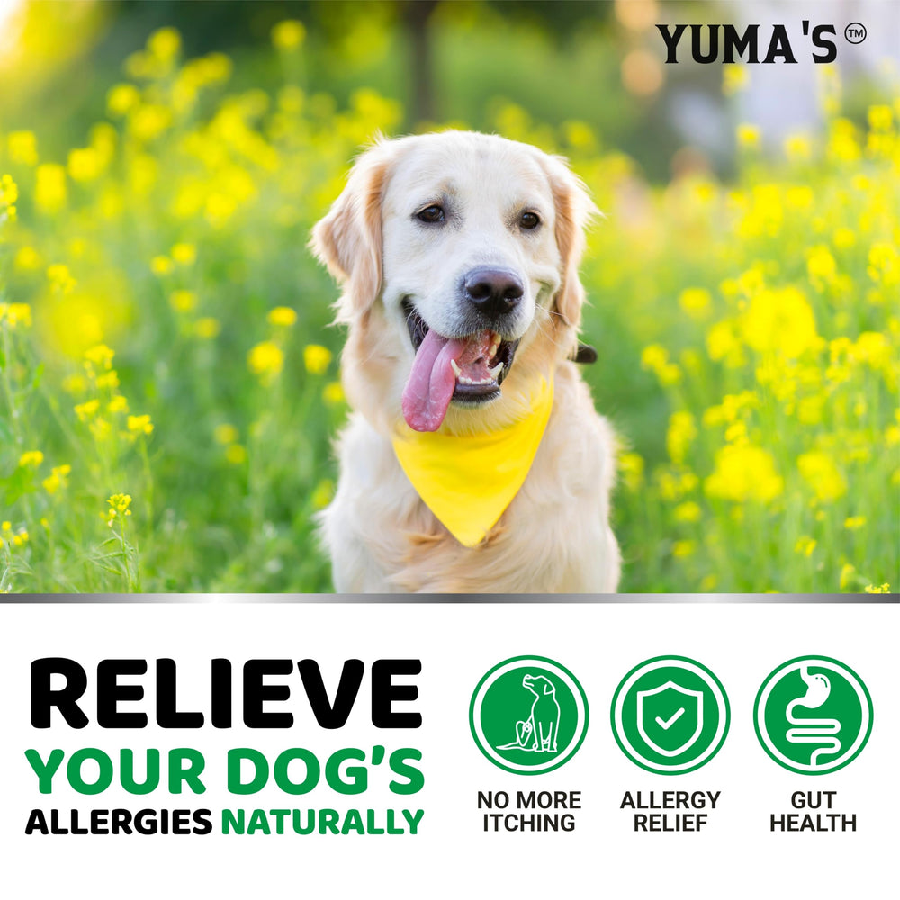 YUMA'S etiqueta con ingredientes y certificaciones, información de calidad clara