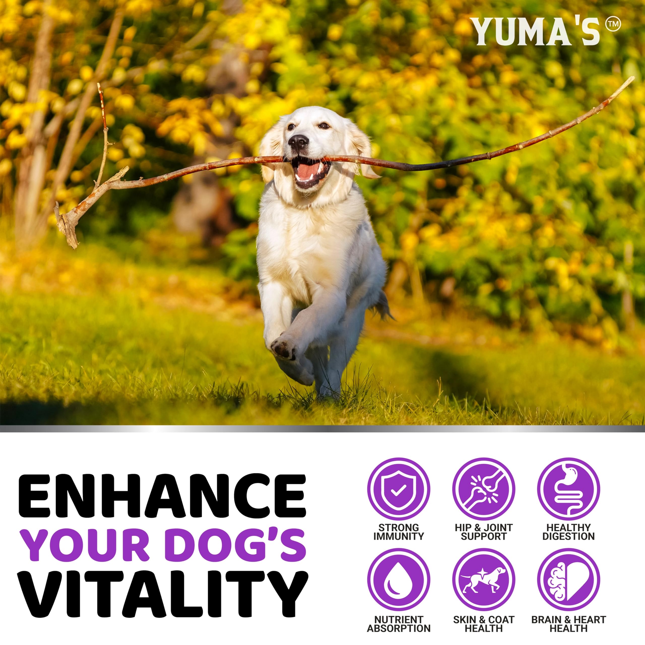 Etiqueta YUMA'S con lista de ingredientes y beneficios para tranquilidad del dueño