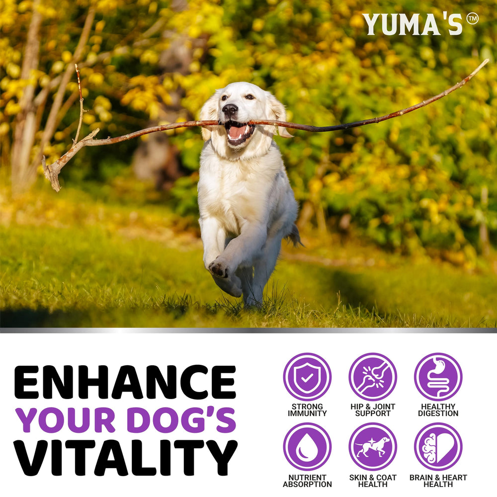 YUMA'S perro aceptando masticable como premio, apoyo para adherencia al suplemento