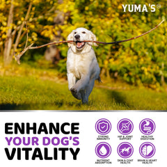 YUMA'S perro aceptando masticable como premio, apoyo para adherencia al suplemento