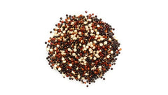 Yupik detalle de granos de quinoa tricolor mostrando textura y calidad