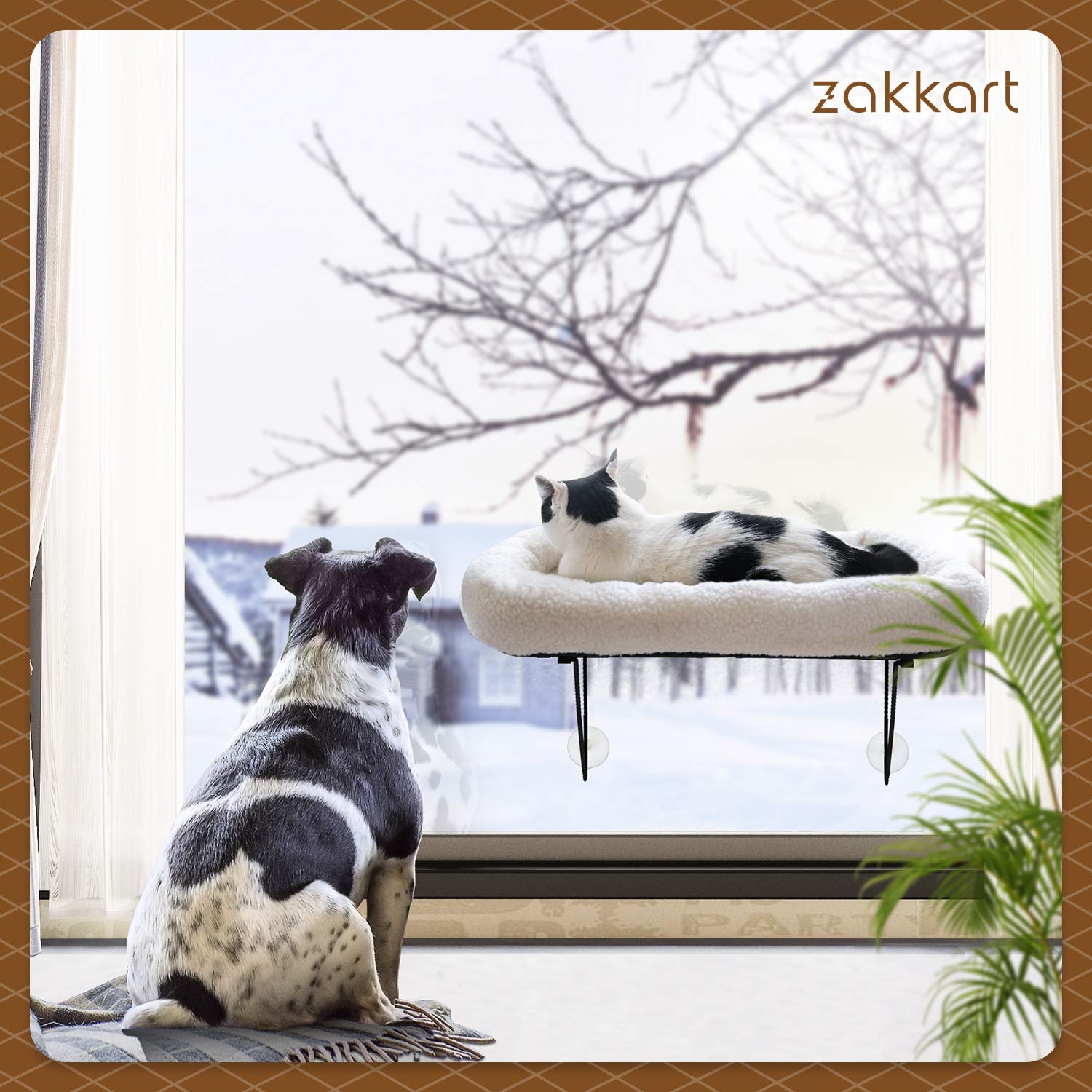 Zakkart hamaca en solarium estilo vida mostrando relajación al sol