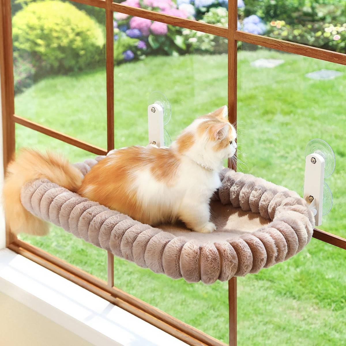 Zakkart SnugCloud front view showing perched cat and stable window benefit