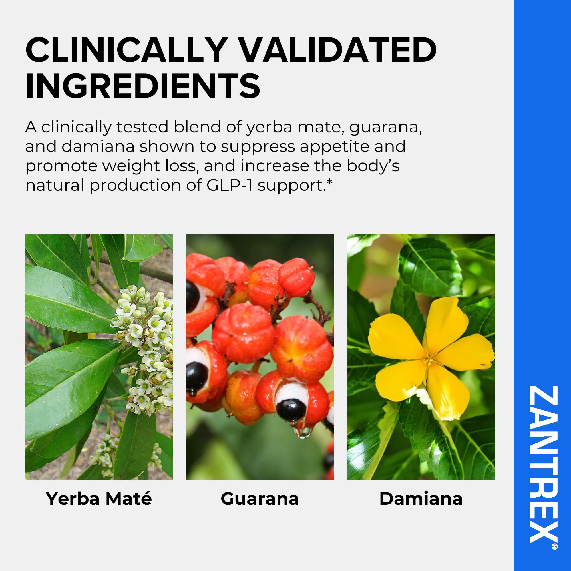 Zantrex etiqueta con lista de ingredientes para transparencia y confianza
