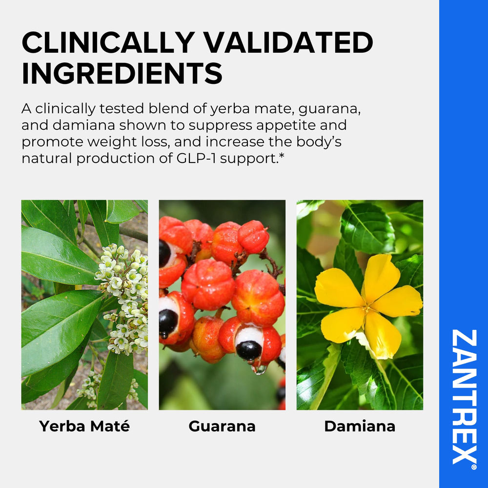Zantrex etiqueta con lista de ingredientes para transparencia y confianza