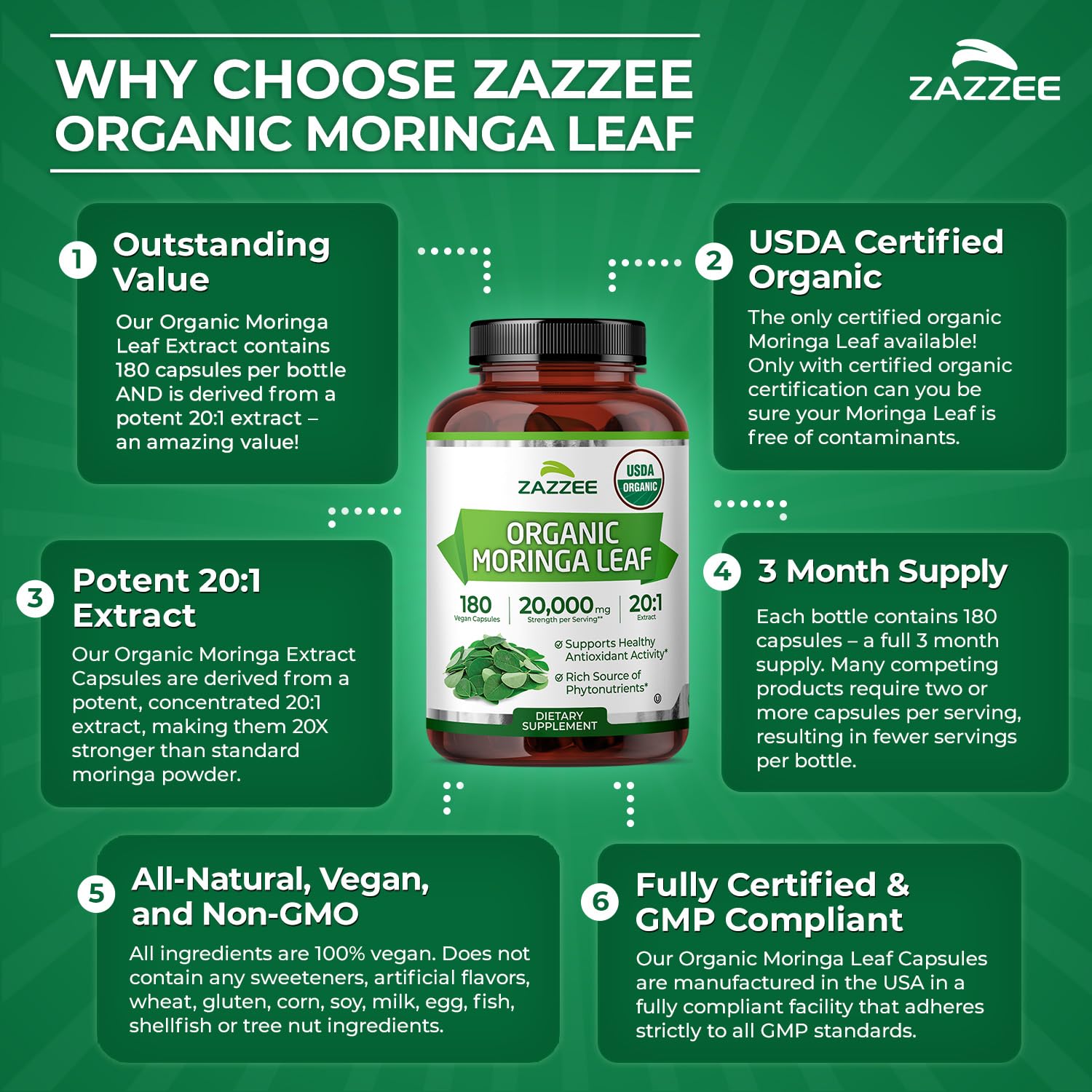 Zazzee hojas secas de moringa antes del proceso de extracto