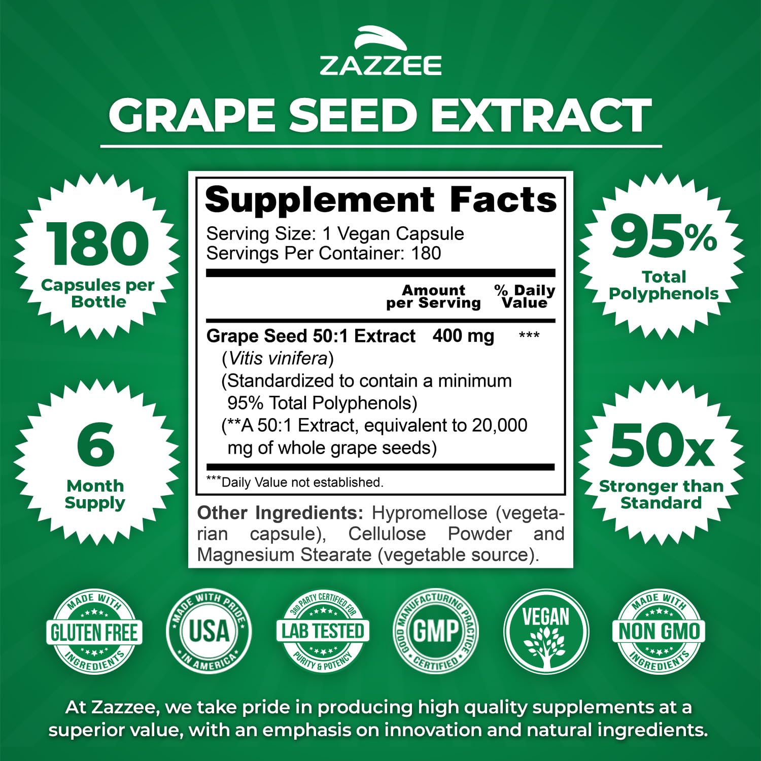 Zazzee primer plano del polvo de extracto que muestra textura y pureza