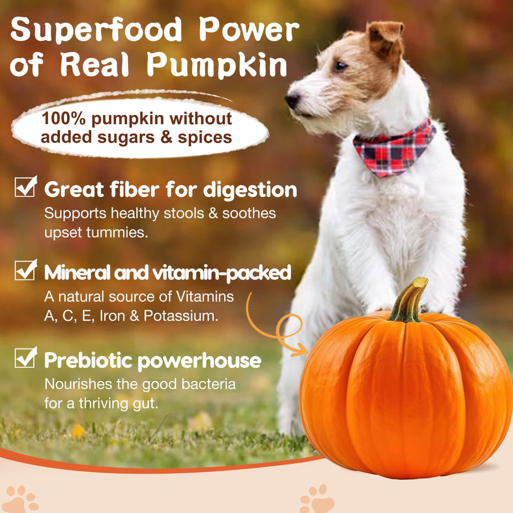 ZEBORA calabaza como ingrediente visible que apoya la regularidad intestinal