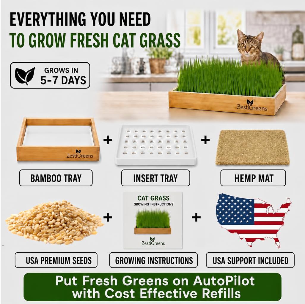 ZESTIGREENS reservoir and wicking system visualizing self-watering, mess-free care