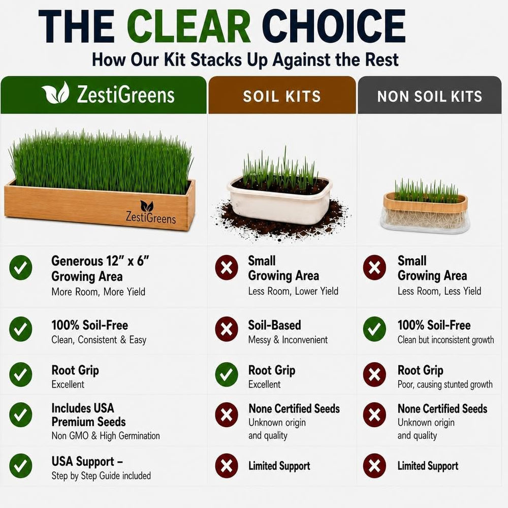 ZESTIGREENS growing tray shown in dishwasher for easy cleaning and durability