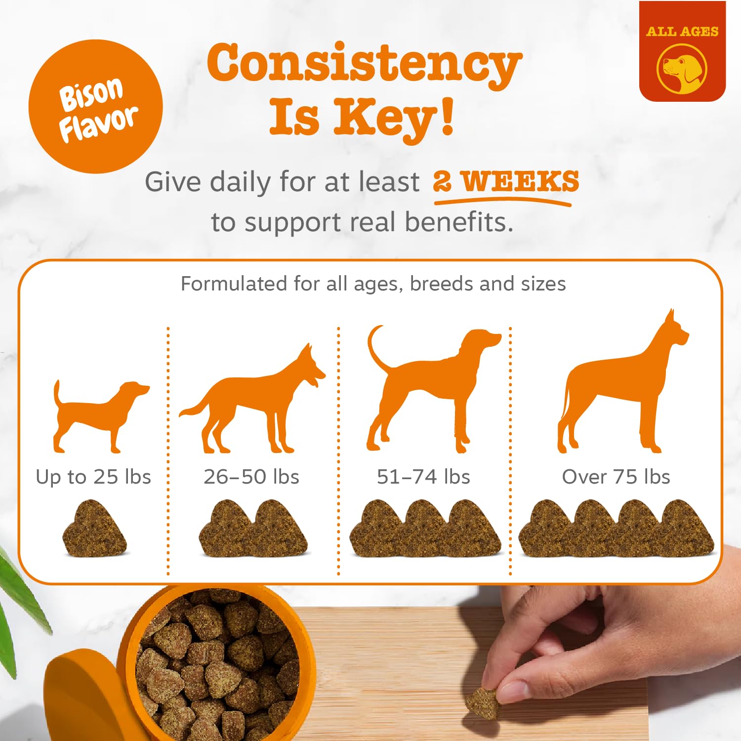 Zesty Paws chews with an active dog outdoors suggesting skin and mobility support during play