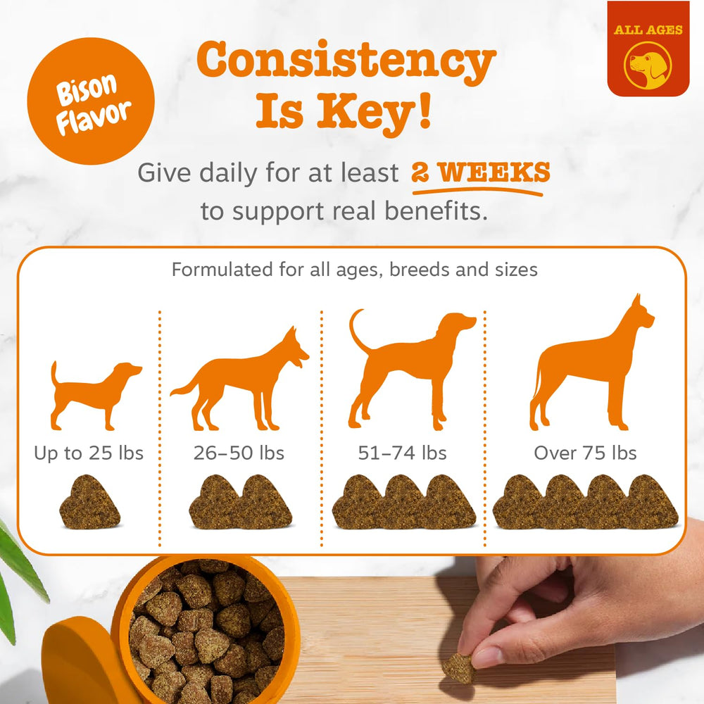 Zesty Paws chews with an active dog outdoors suggesting skin and mobility support during play