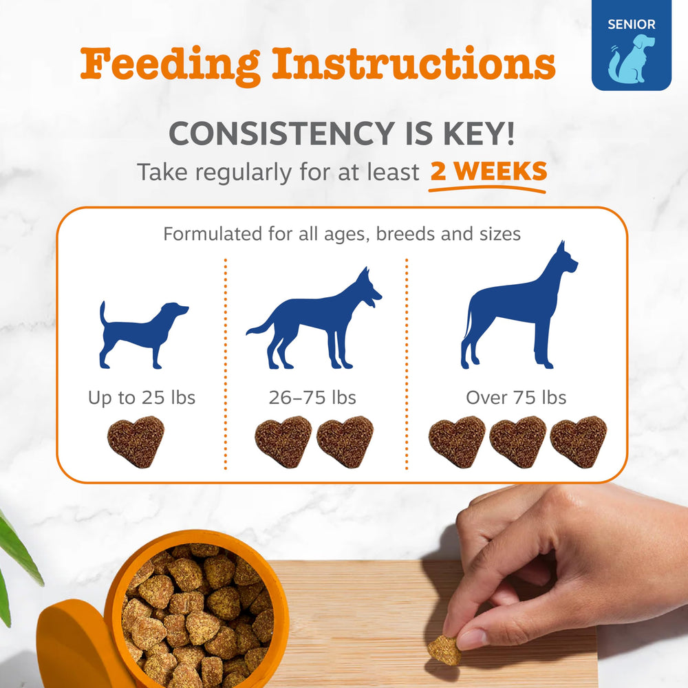 Zesty Paws comparación de tamaño entre mano y masticable, dosificación clara