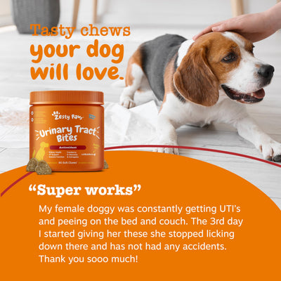 Zesty Paws open bottle with chews visible for single-serve convenience