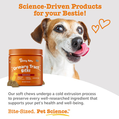 Zesty Paws chew in hand demonstrating ease of administration