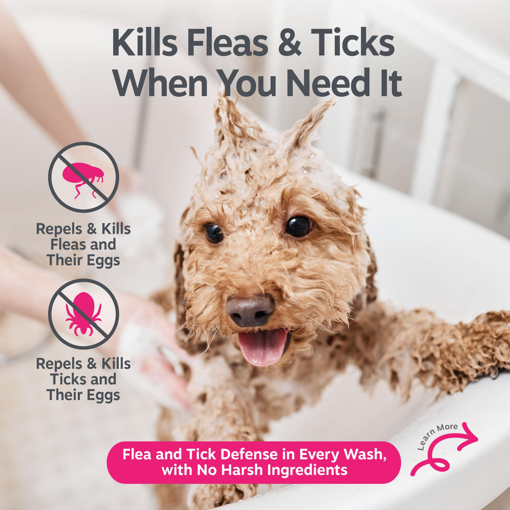 Zesty Paws etiqueta con ingredientes botánicos destacando acción sobre pulgas