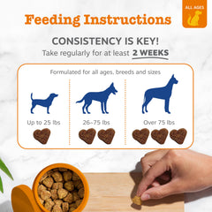 Zesty Paws ingredient label highlighting glucosamine, probiotics and omega benefits