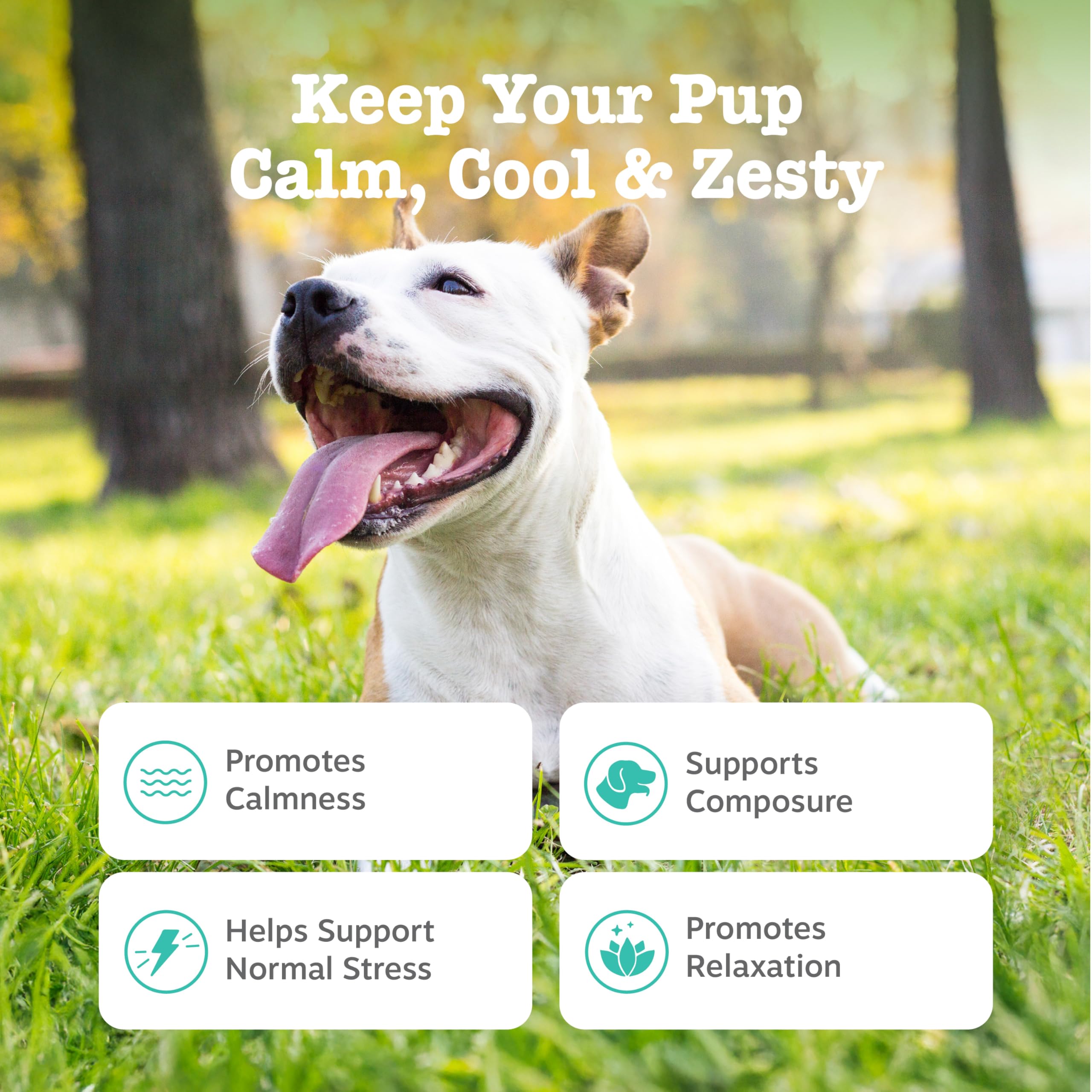 Zesty Paws primer plano de la textura del masticable y apariencia apetecible