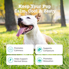Zesty Paws primer plano de la textura del masticable y apariencia apetecible