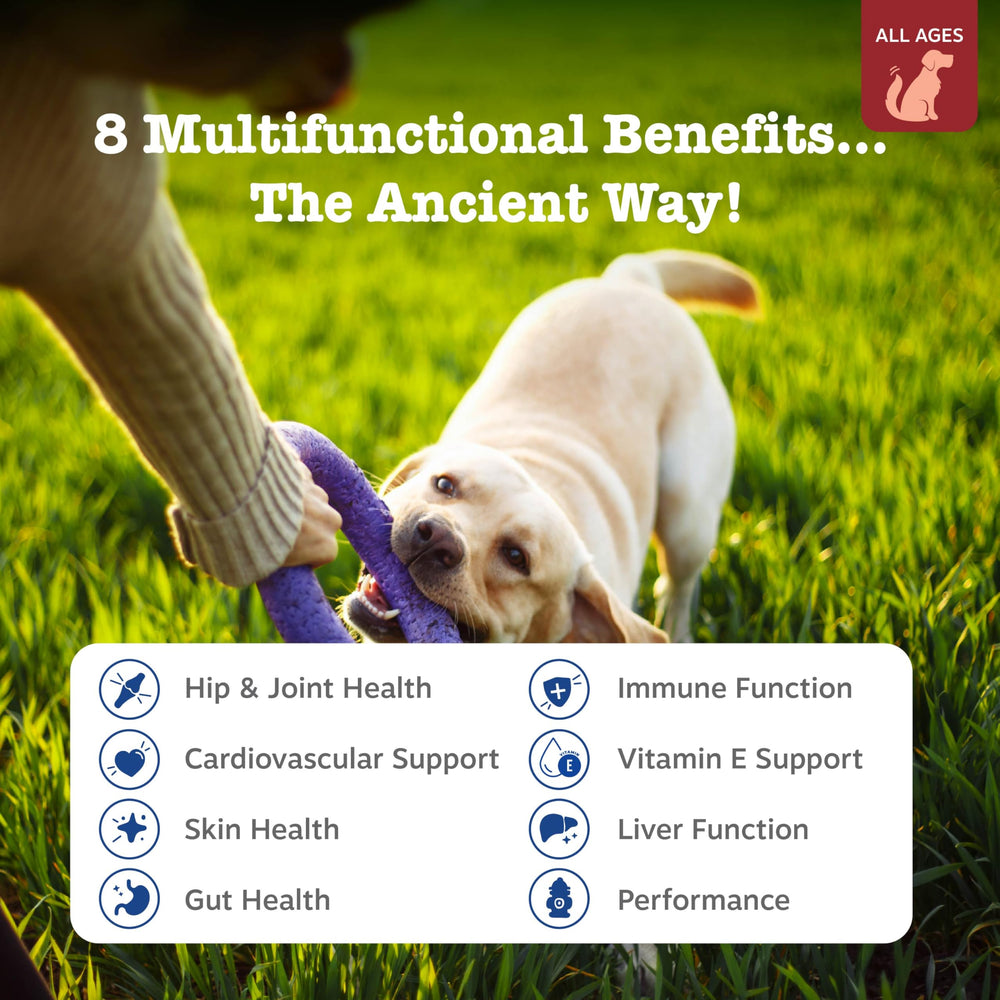 Zesty Paws primer plano textura del masticable para palatabilidad