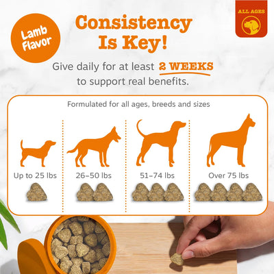 Omega-3 oil visual with Zesty Paws indicating skin hydration benefits