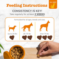 Zesty Paws perro aceptando gomita, favorece cumplimiento y digestión