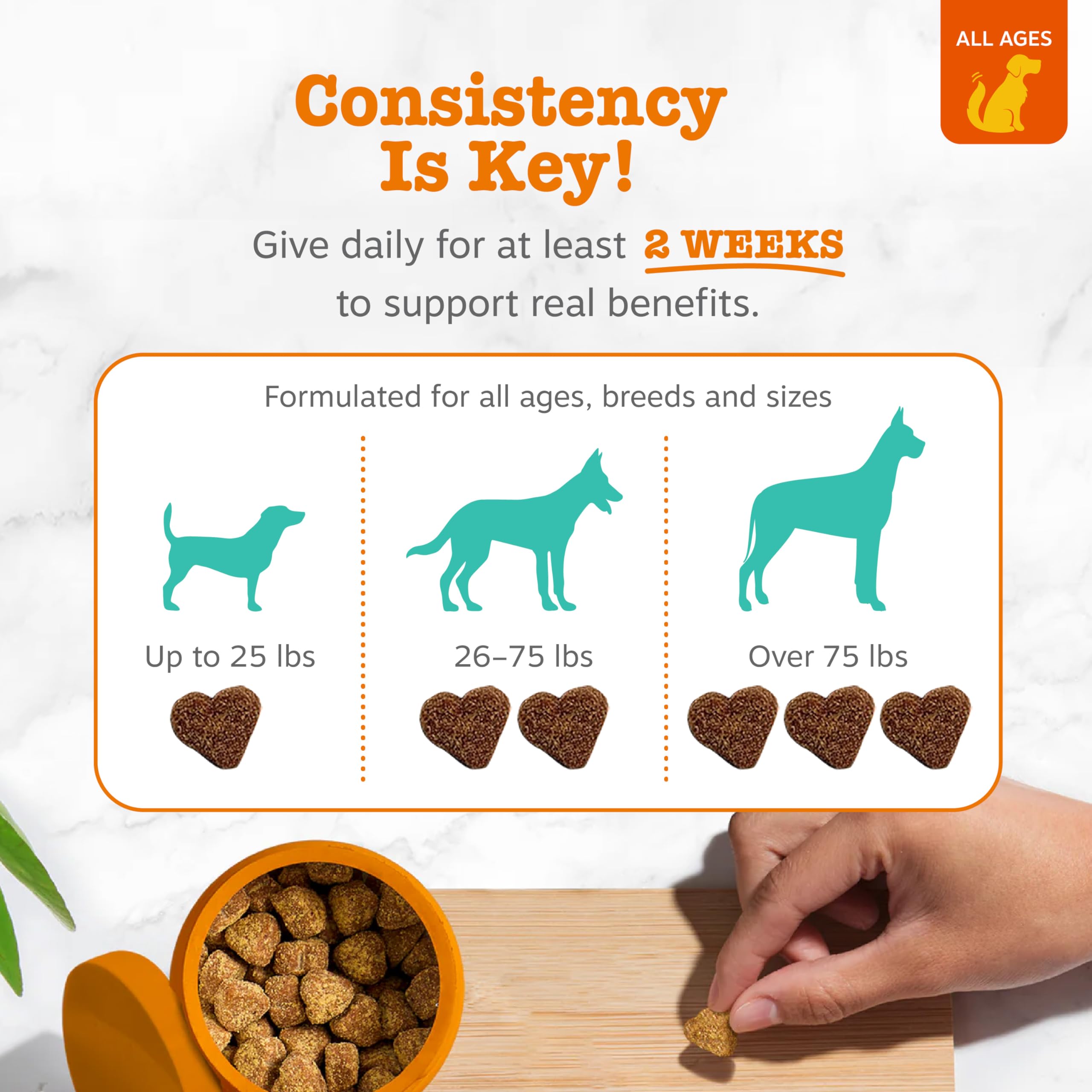 Zesty Paws comparación de tamaño en mano para medir la porción