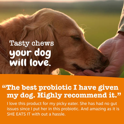 Zesty Paws comparación de tamaño del masticable para dosificación visual