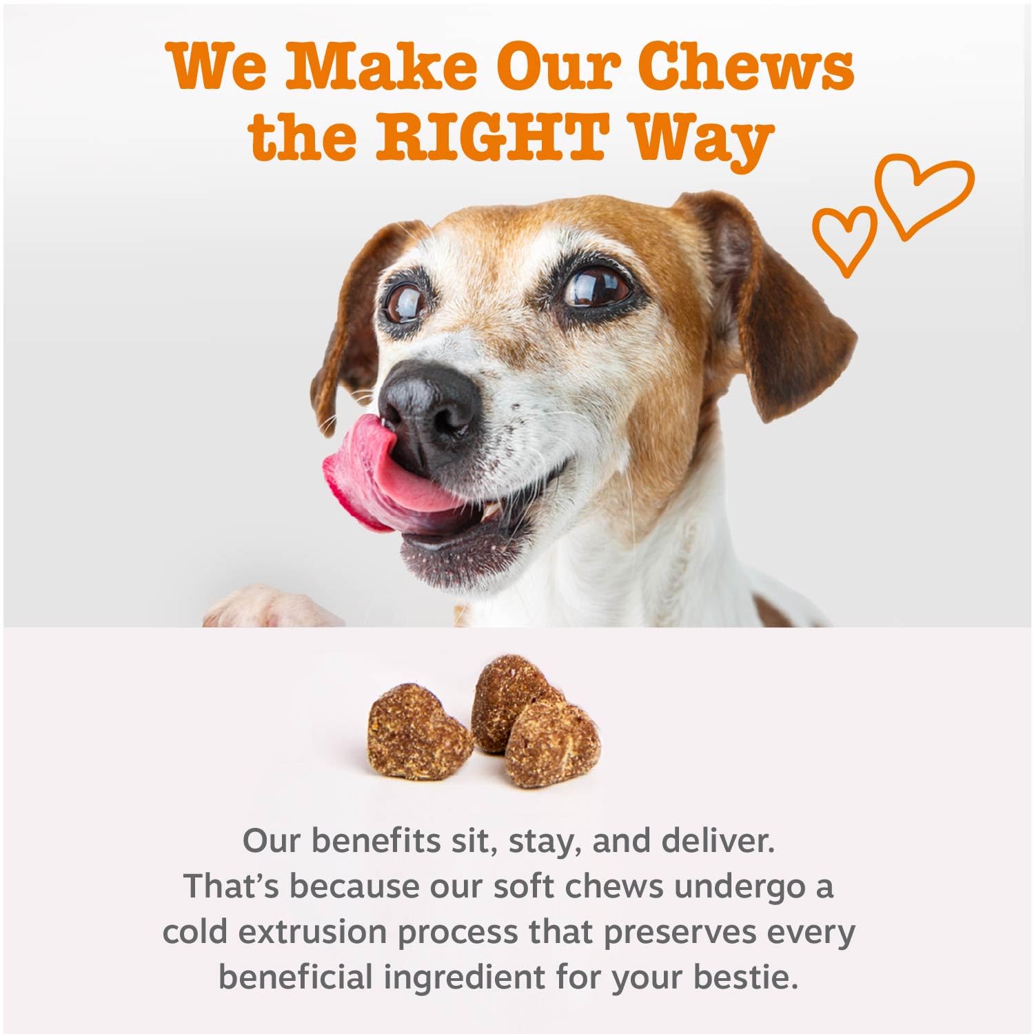 Zesty Paws comparación de tamaño junto a una moneda para escala