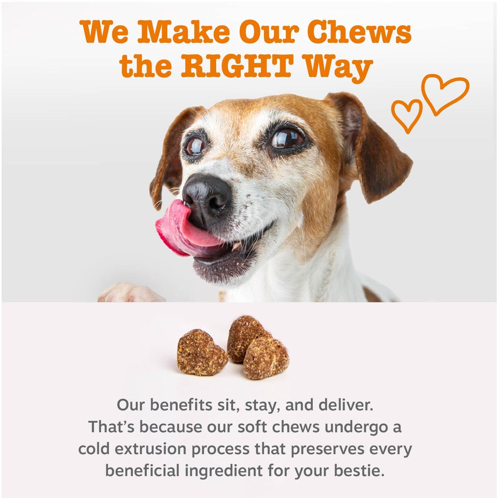 Zesty Paws comparación de tamaño junto a una moneda para escala