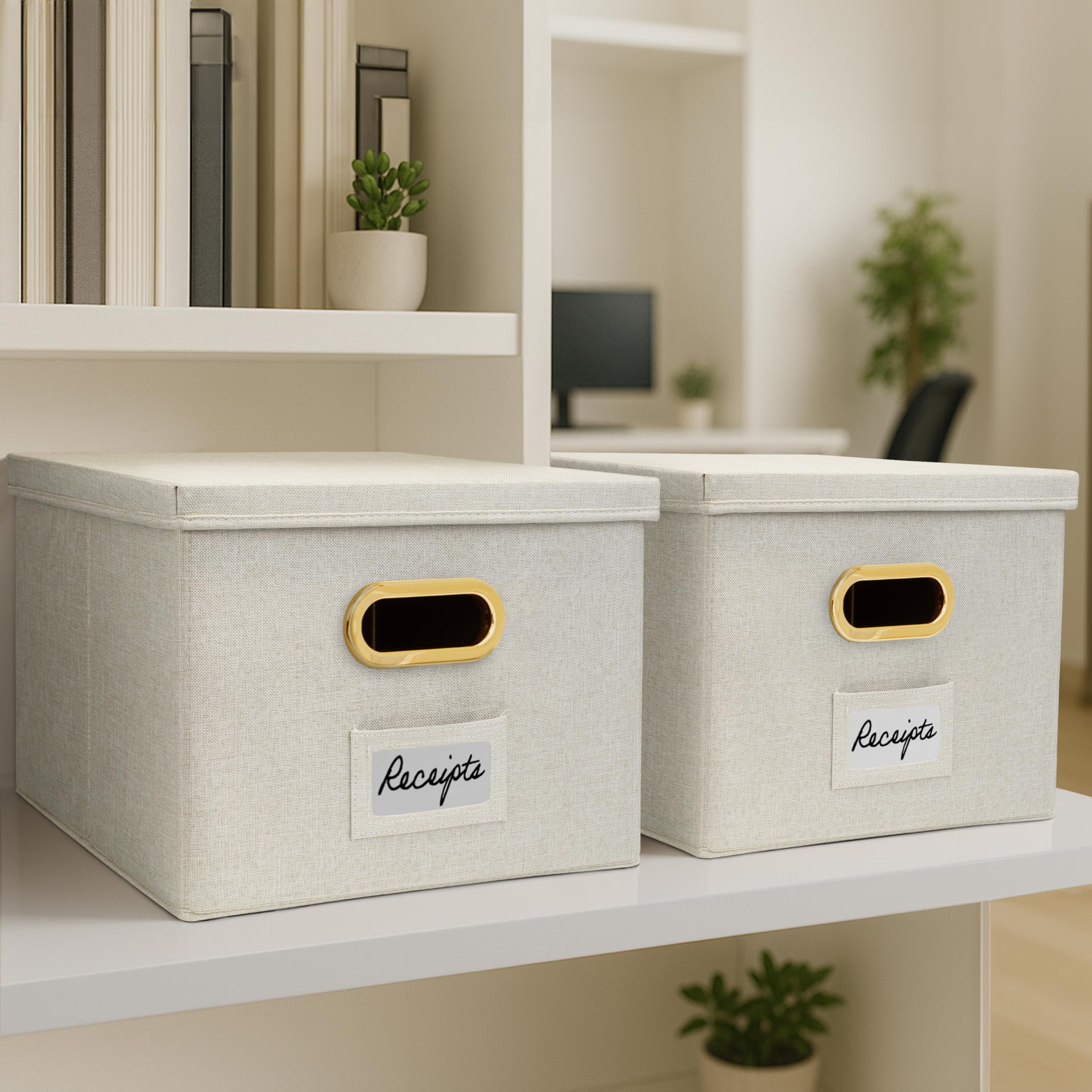 ZICOTO in a home office setting showing decorative organization